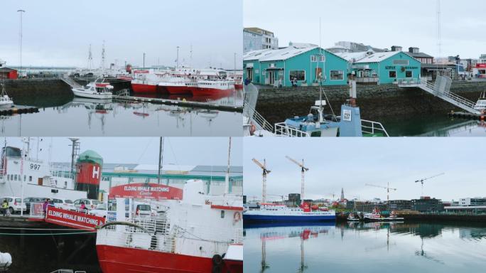 冰岛 码头 观鲸 雷克雅未克 北欧
