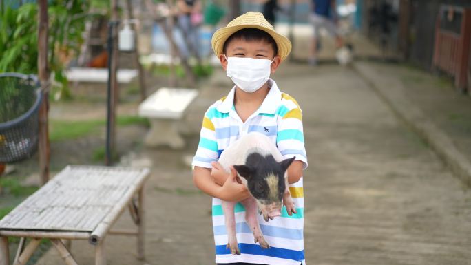 亚洲饲料和农场动物仔猪