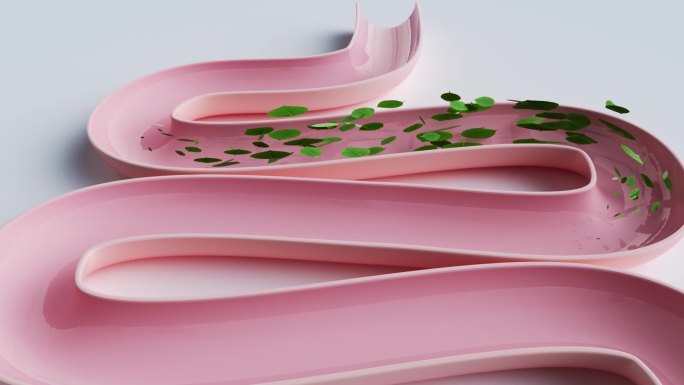 绿色叶子穿过粉色肠道抽象肠道清理3D