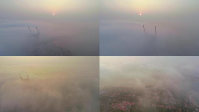 青岛海边日出平流雾