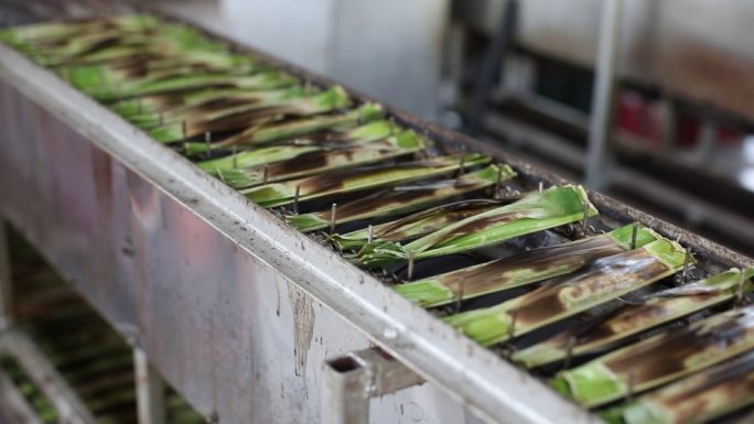 大脑：完美烧烤生产线流水线传送带食品工业