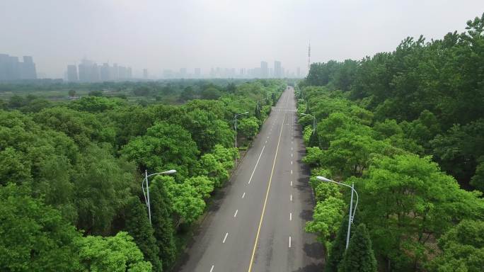 航拍 绿化 森林 交通 干净的车道