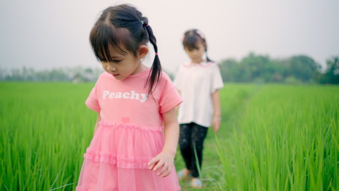 亚洲女孩快乐地走在绿色的田野里。