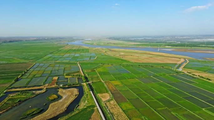 黄河灌区渔米之乡-万亩良田农业大景