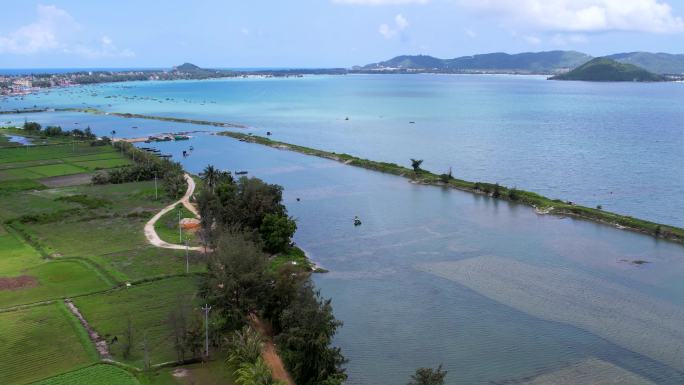 4K航拍黎安港大海渔村，海田红树林繁殖园