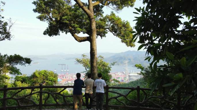 三个伙伴在山坡眺望远方大海