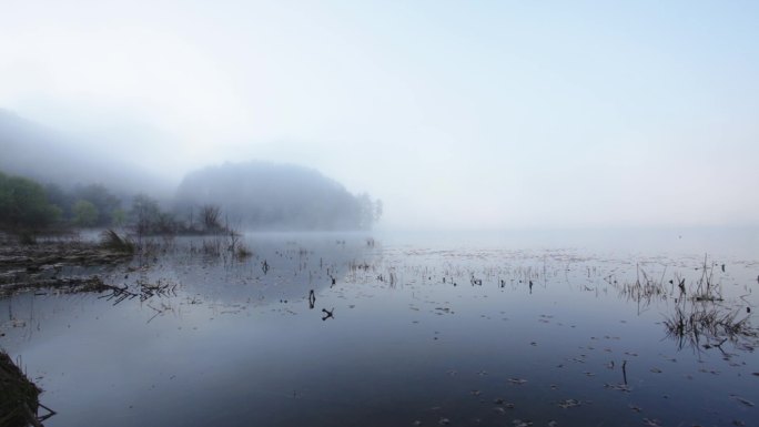 自然湖泊湿地沼泽雾飘渺