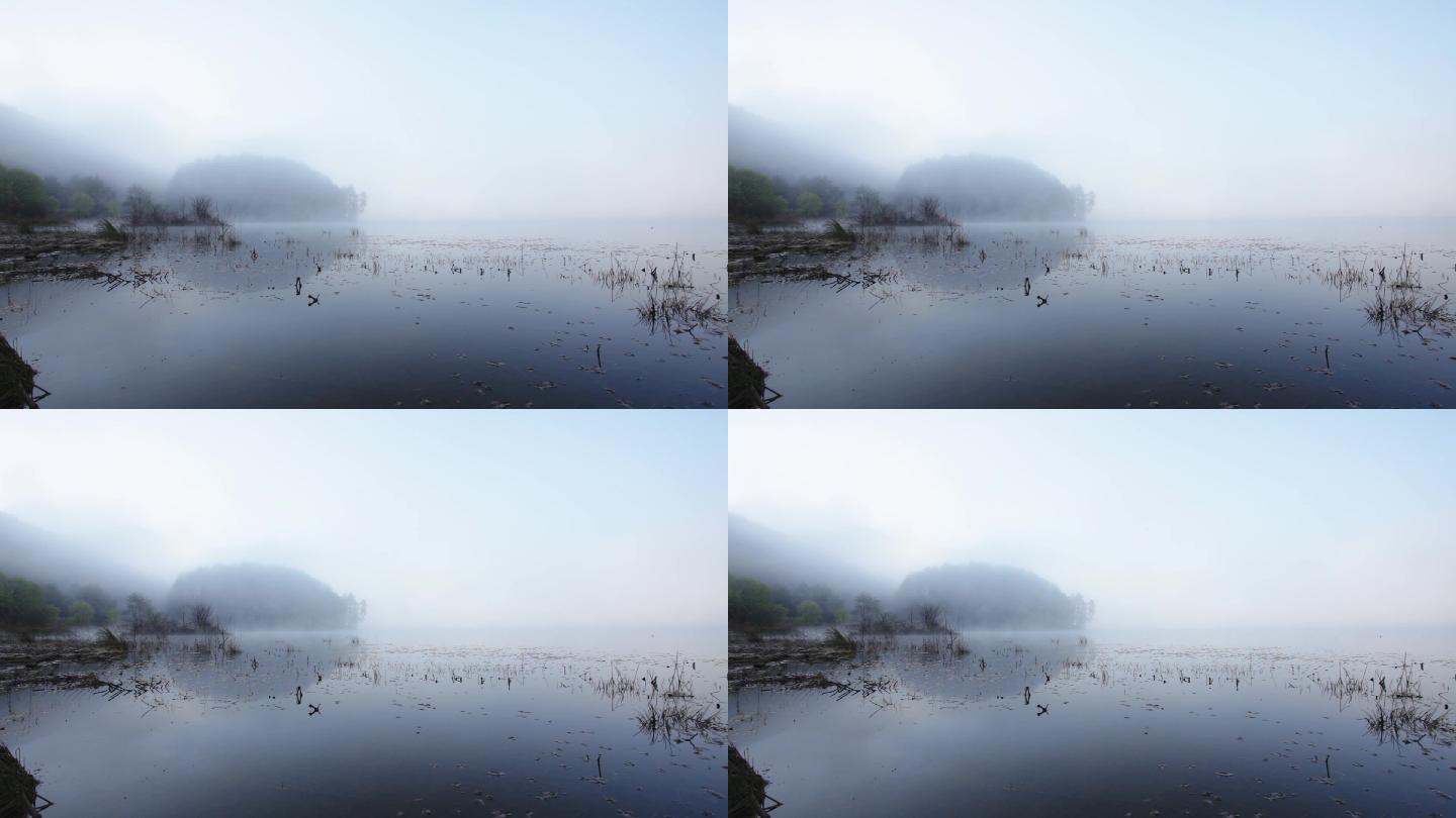 自然湖泊湿地沼泽雾飘渺