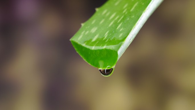 芦荟水纯度下降水滴