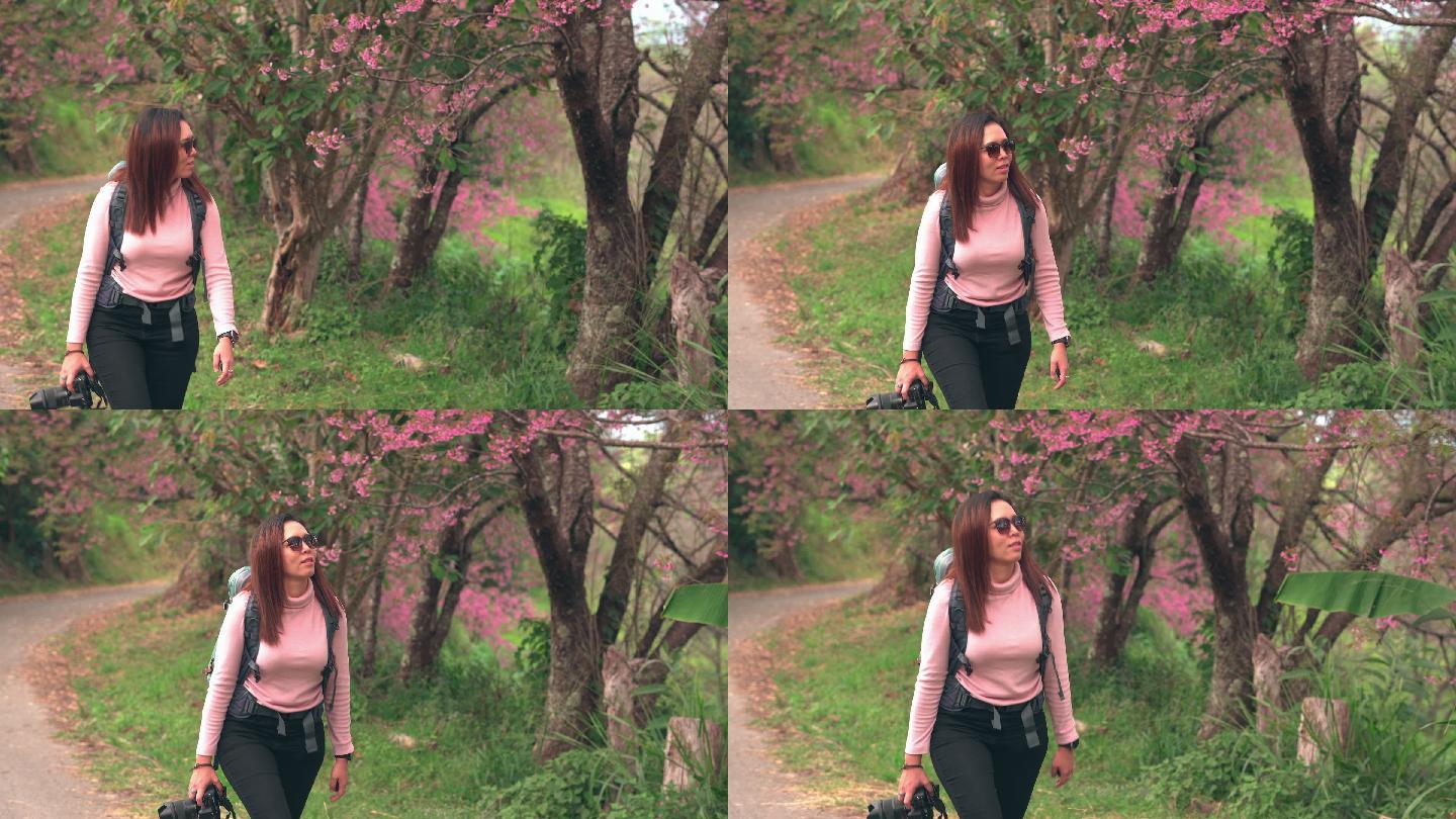 正面图：年轻的亚洲女性，穿着毛衣，背着背包，在樱花森林的小径上行走，手持相机，在自然的氛围中感到快乐