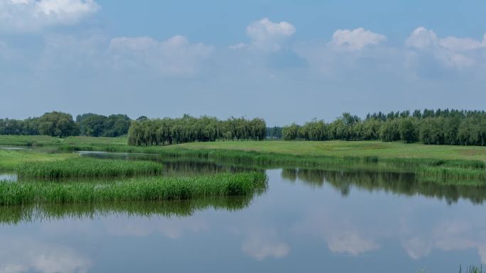 蒲河湿地滩地水草芦苇蒲草小河