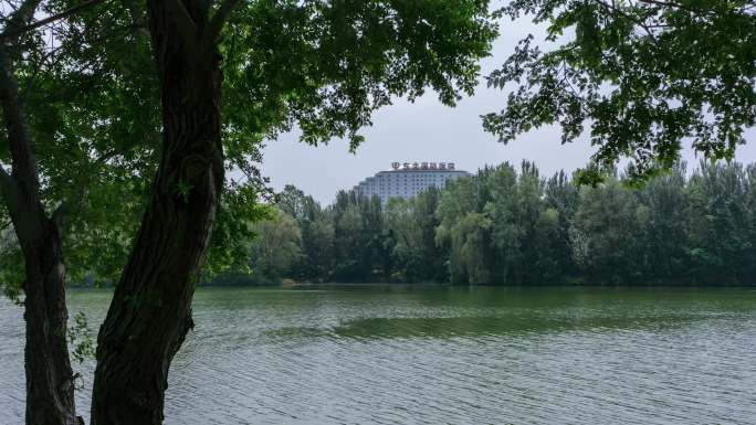 浑河岸边隔岸看东北国际医院