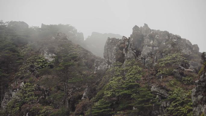 云雾缭绕的山顶怪石