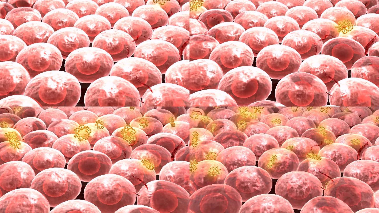 自由基团具有强氧化性可损害机体的组织细胞