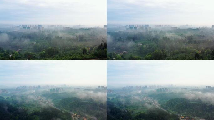 晨雾笼罩的小城 晨雾下的蒲江 蒲江晨雾