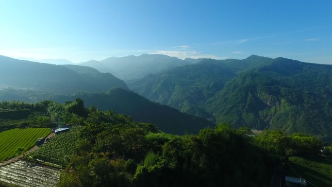 台湾 阿里山部落 梯田 航拍