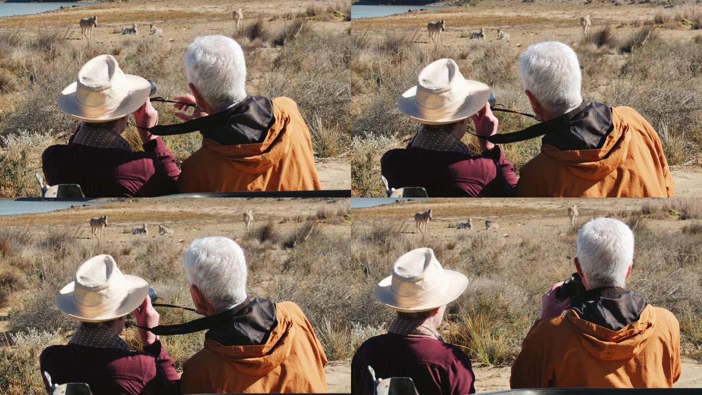 一对戴着双筒望远镜的老年夫妇在远征途中观察斑马