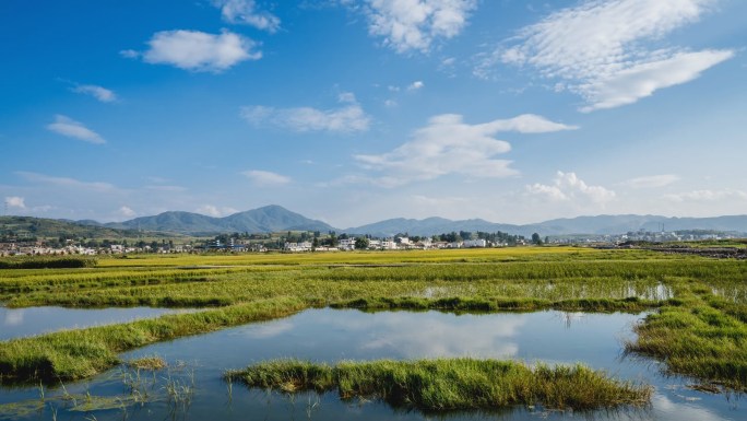 鲁甸桃源坝子延时