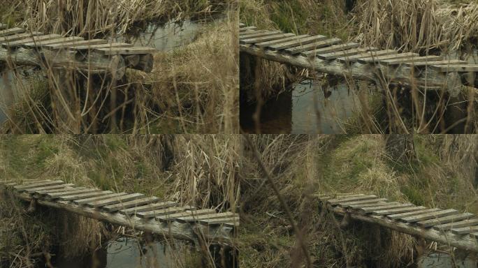 河上的旧木桥。独木桥