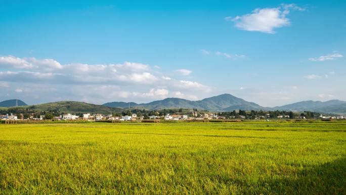 鲁甸桃源坝子延时