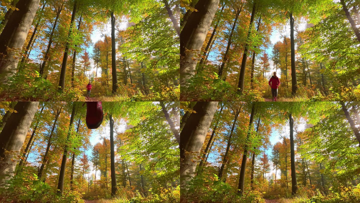一位老妇人在秋天的森林里跑步，并跳过树根