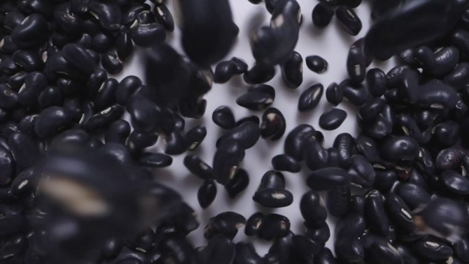 黑豆一堆一堆转基因农作物丰收