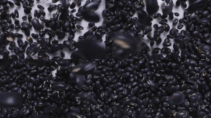 黑豆一堆一堆转基因农作物丰收