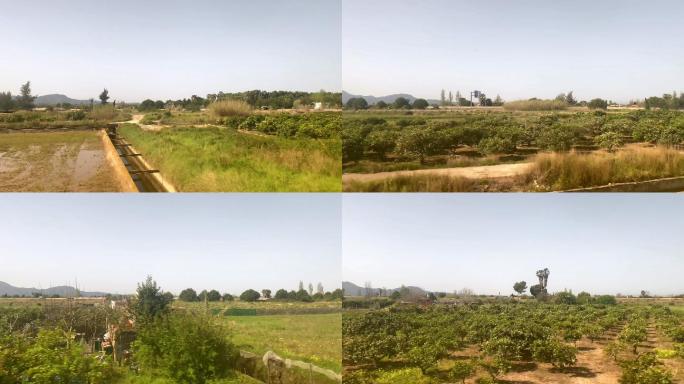 西班牙南部巴伦西亚社区的耕地