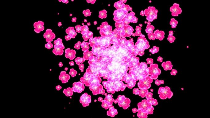 梅花扩开散开转场