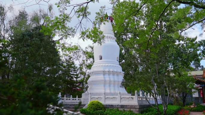 昆明世博园——山西槐香园