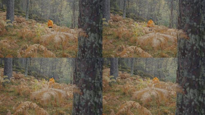 挪威秋季森林和树木中的女性户外徒步旅行