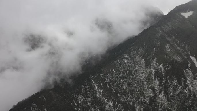 冬末春初云雾缭绕的山顶森林下覆盖这白雪