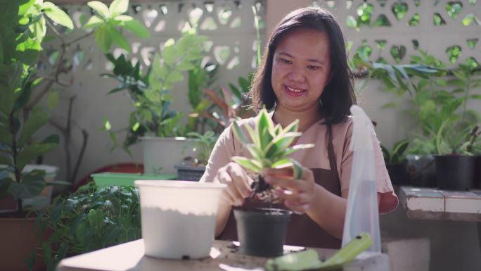 周末活动报道植物。可持续性概念