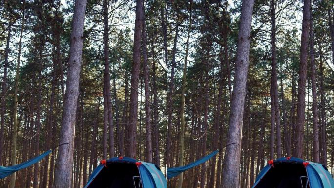 帐篷和吊床是露营的完美组合