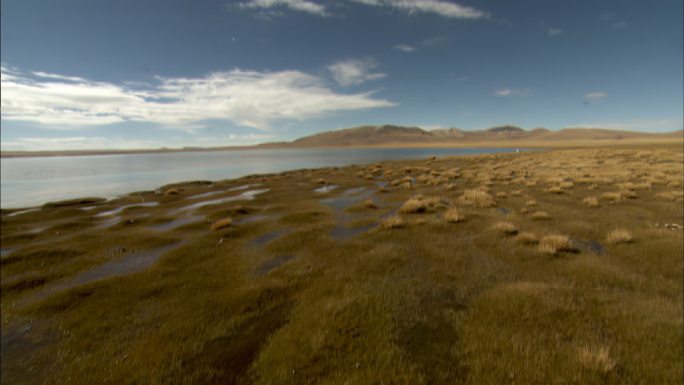 可可西里 生态环境 秀美风景 湖泊河流