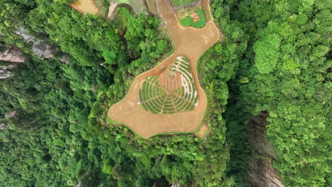 张家界武陵源景区空中田园航拍4k