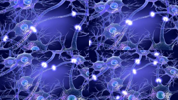 截断神经元异常放电