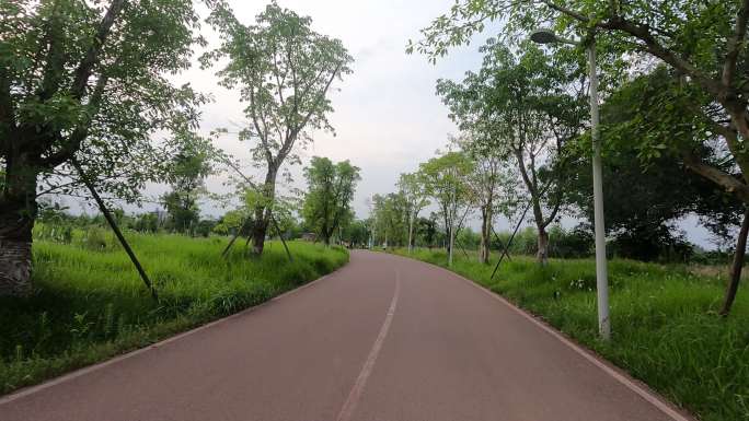 四川省成都市天府绿道骑行风景