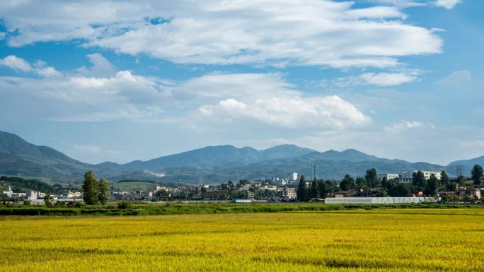 鲁甸桃源坝子延时