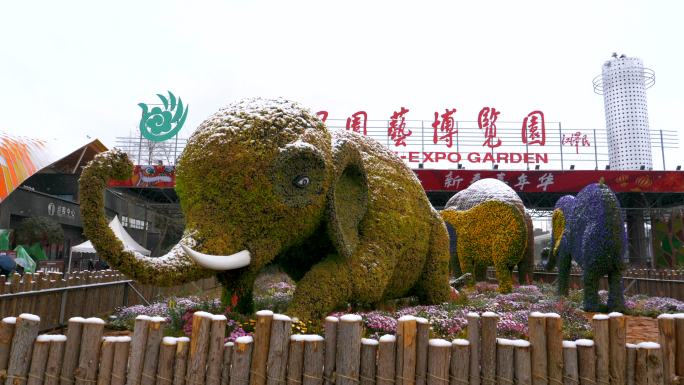 昆明花园大道雪景