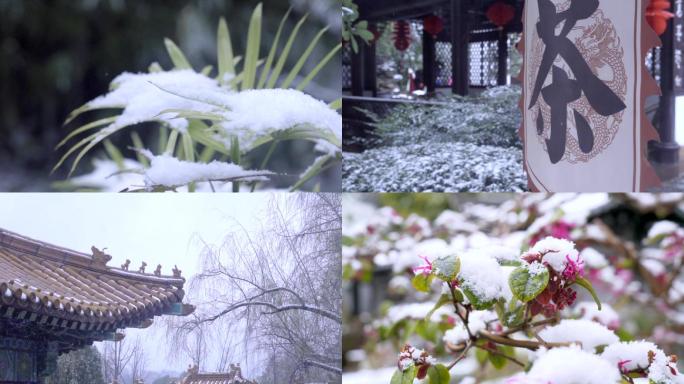 春城雪景特写空境