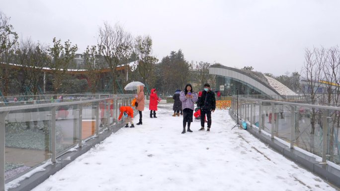昆明雪景 世博园游客 玩雪