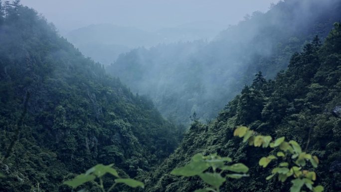 【4k原创】雨后山谷幽静自然风光云雾缭绕