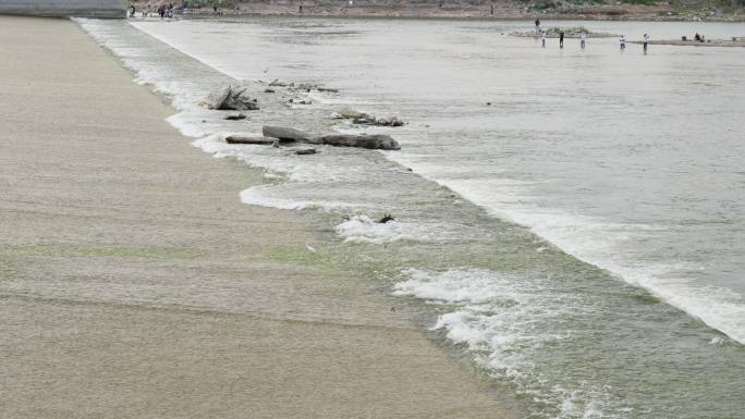 水坝 河水水鸟觅食