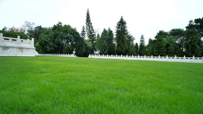 阳光草坪公园草地绿地