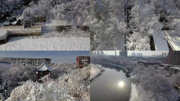 天津城市南运河桃花堤雪景航拍4K