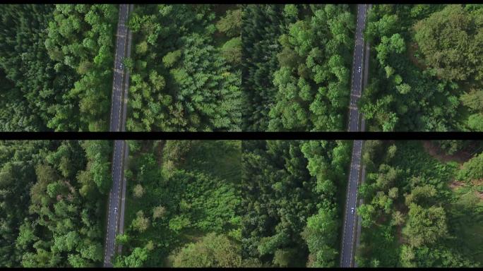 德国公路汽车航拍森林公路