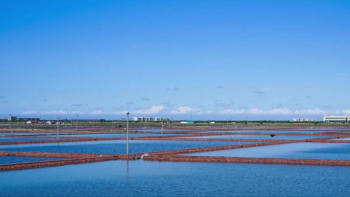 潍坊滨海盐田夏日风景延时