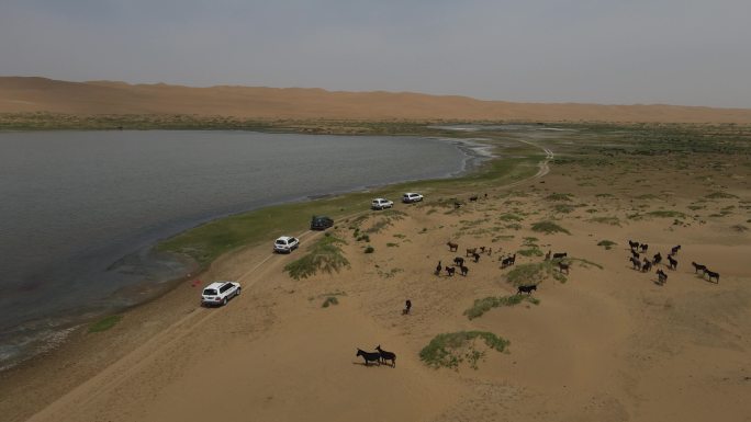 4K素材：航拍腾格里沙漠无人区越野车队