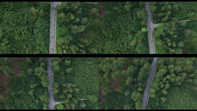 德国公路汽车航拍道路穿过树林飞驰前行空中